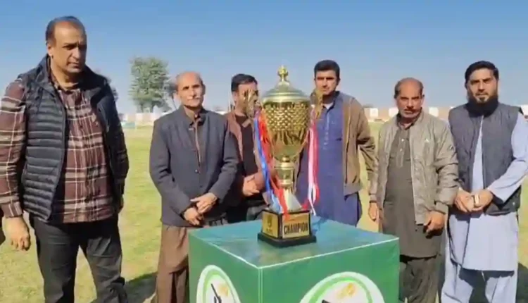 چیچہ وطنی کرکٹ میلہ