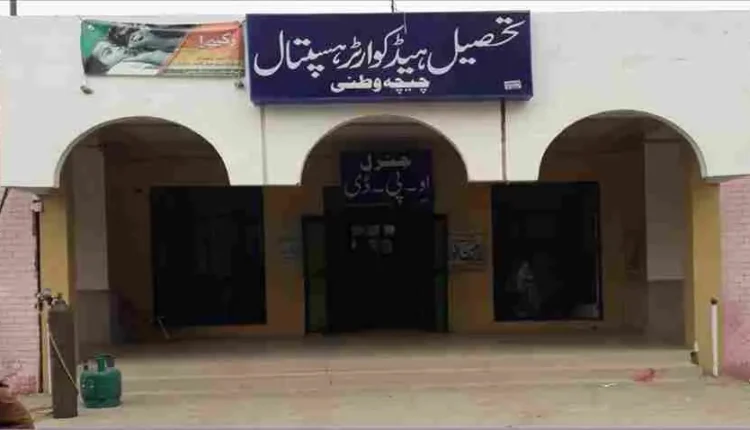 چیچہ وطنی