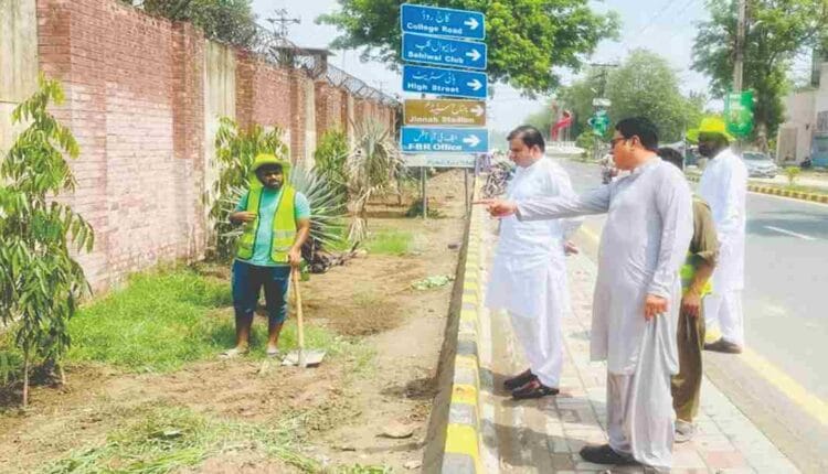 Director PHA Sahiwal