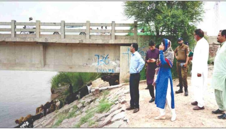 Ravi Bridge Chichwatni