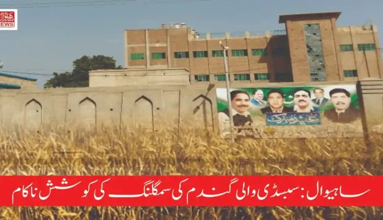 Wheat Smuggling