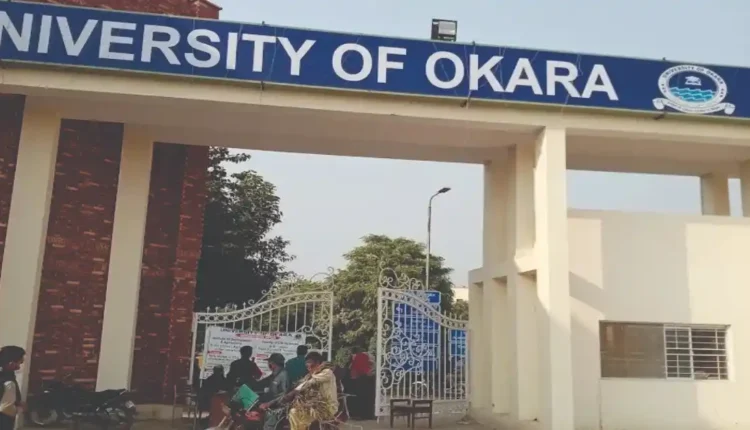 University of Okara