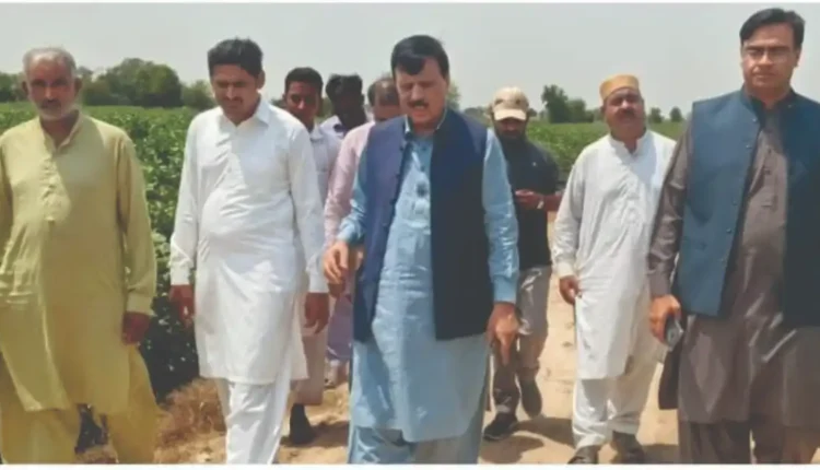 DG Agriculture Punjab